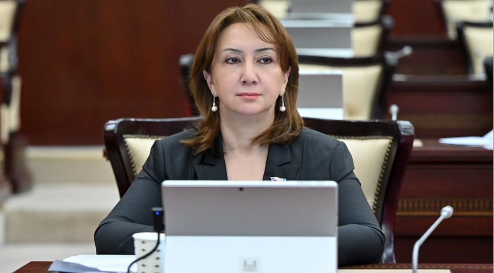 anim-gunu-milli-yaddashimizin-ve-dovletchilik-irademizin-tecessumudur