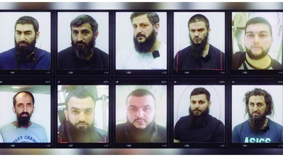 agaci-ichinden-yeyen-qurdlar
