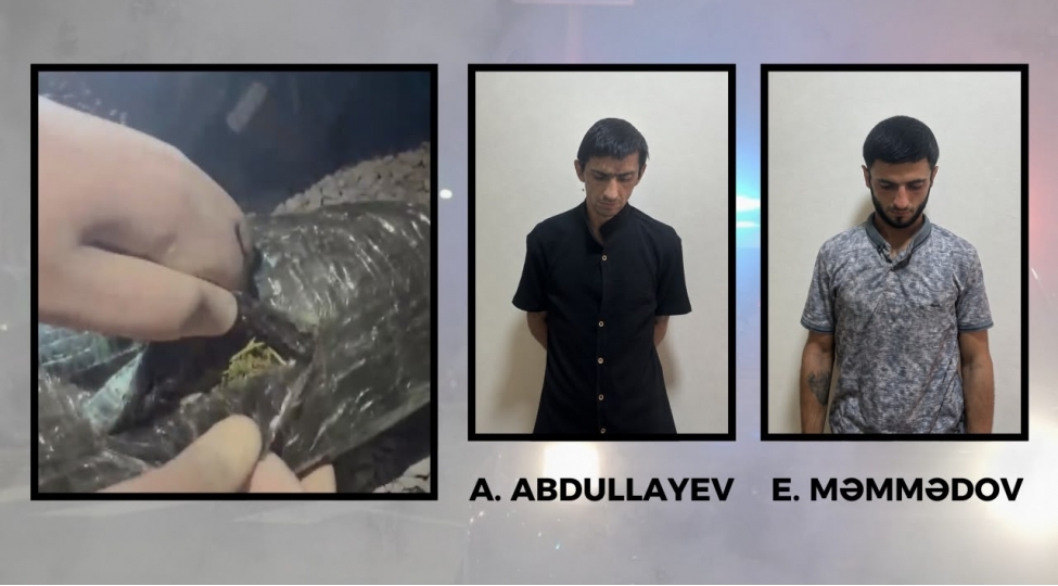 goychayda-3-kiloqramdan-artiq-narkotik-vasite-ashkarlanib