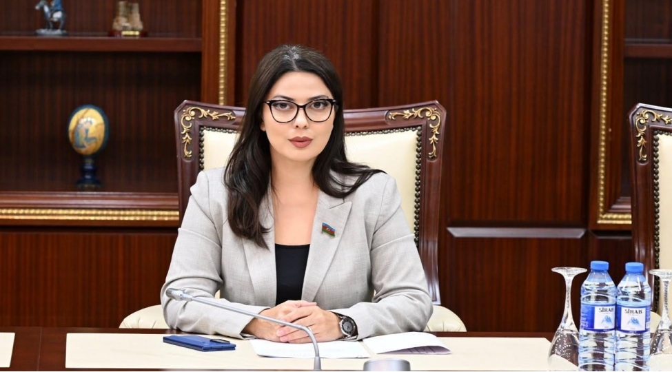 azerbaycanin-merkezi-asiya-ile-terefdashligi-yeni-merheleye-qedem-qoyub-sebine-salmanovamusahibe