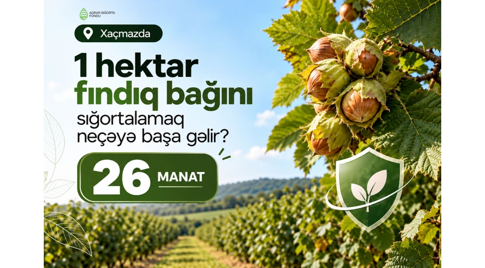 xachmazda-findiq-bagini-sigortalamaq-necheye-basha-gelir-meblegler
