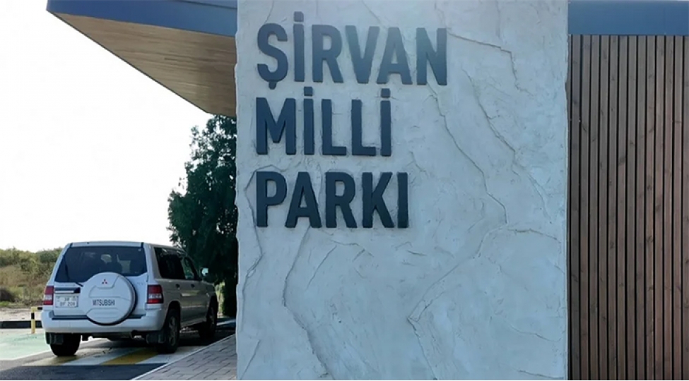 shirvan-milli-parkinda-ceyranlarin-sayi-7-mini-otub