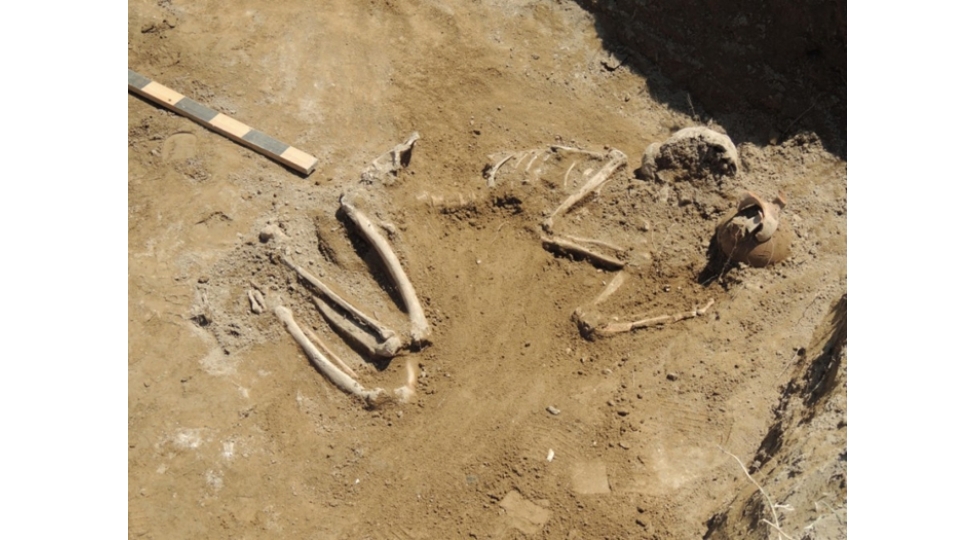 news-104022
