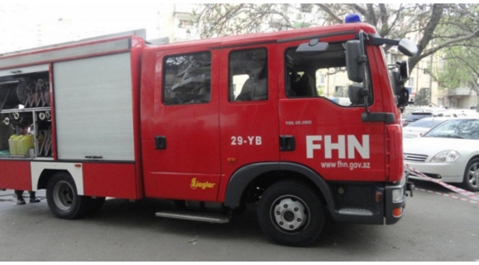 news-47188
